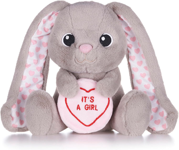 POSH PAWS (SWIZZLES) LOVE HEARTS IT'S BOY AND IT'S GIRL SOFT TOYS IT'S GIRL (Copy)