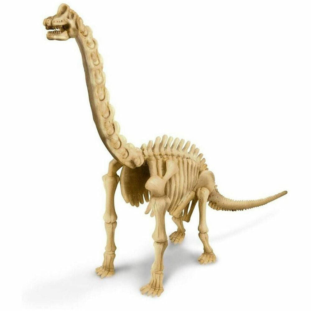 Brand New KidzLabs Brachiosaurus Dinosaur Skeleton Dig Kit