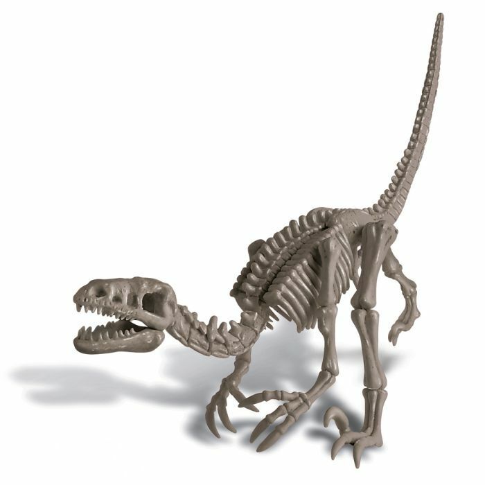 Brand New Natural History Museum Dig Velociraptor Skeleton Kit
